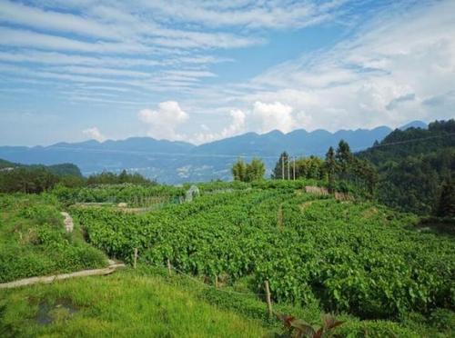 BG���ˡ�(�й���)�ٷ���վ